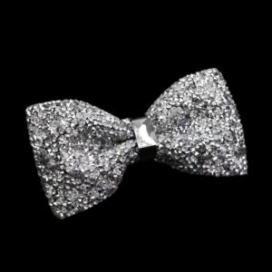 Vlinderdas Strass ( Zilver ) 12 x 6 cm