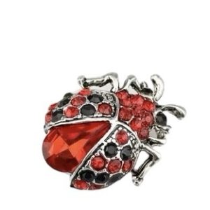Broche Lieveheersbeestje ( Klein ) 2.2 x 2.6 cm 