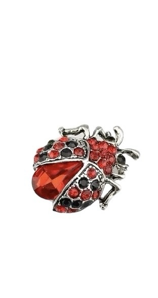 Broche Lieveheersbeestje ( Klein ) 2.2 x 2.6 cm