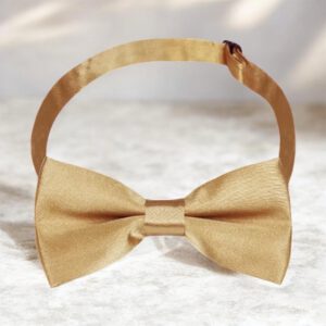 Vlinderdas voor kinderen (Preppy Style) Champagne kleur 5 x 10 cm