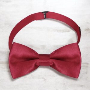 Vlinderdas voor kinderen (Preppy Style) Rood 10 x 5 cm