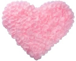 Zijde Rozenblaadjes ( Roze ) 1000 stuks ( 4.5 x 4.5 cm )